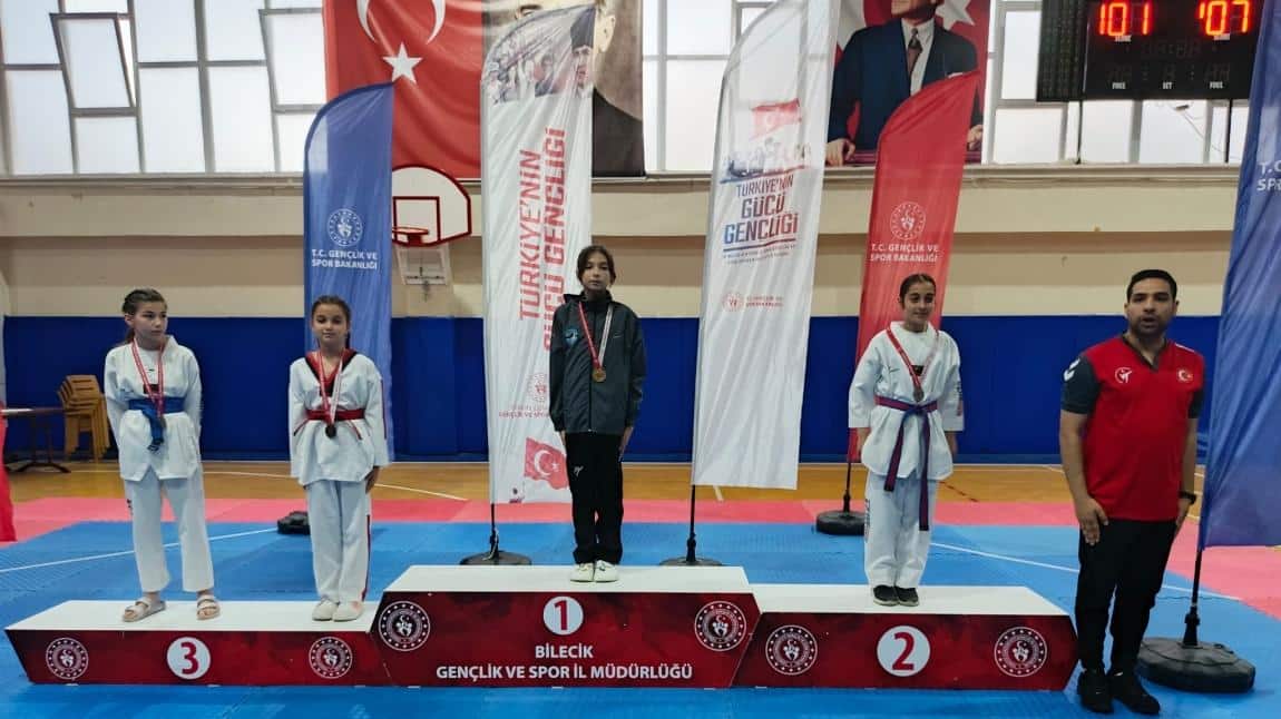 Taekwondo İl Dereceleri